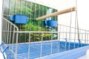 Ver imagem 3 de Poleiro Para Calopsita Contrera Poltrona Com Bandeja Azul Zincada Prata