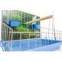 Ver imagem 3 de Poleiro Para Calopsita Contrera Poltrona Com Bandeja Azul Zincada Prata