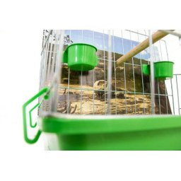 Poleiro Para Calopsita Contrera Poltrona Com Bandeja Verde Zincada Prata - 4