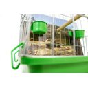 Ver imagem 4 de Poleiro Para Calopsita Contrera Poltrona Com Bandeja Verde Zincada Prata