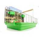 Ver imagem 3 de Poleiro Para Calopsita Contrera Poltrona Com Bandeja Verde Zincada Prata