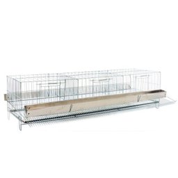 Gaiola para Codorna Poedeira Contrera Grande Zincada Prata - 1