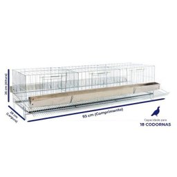 Gaiola para Codorna Poedeira Contrera Grande Zincada Prata - 2