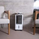 Ver imagem 2 de Climatizador de Ar Cp04d Praxis Voltagem 220v