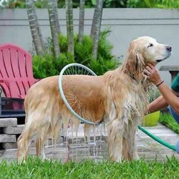 Chuveiro Cachorros Woof Washer 360 Caes Banho Lava Jato Estação de Limpeza - 9
