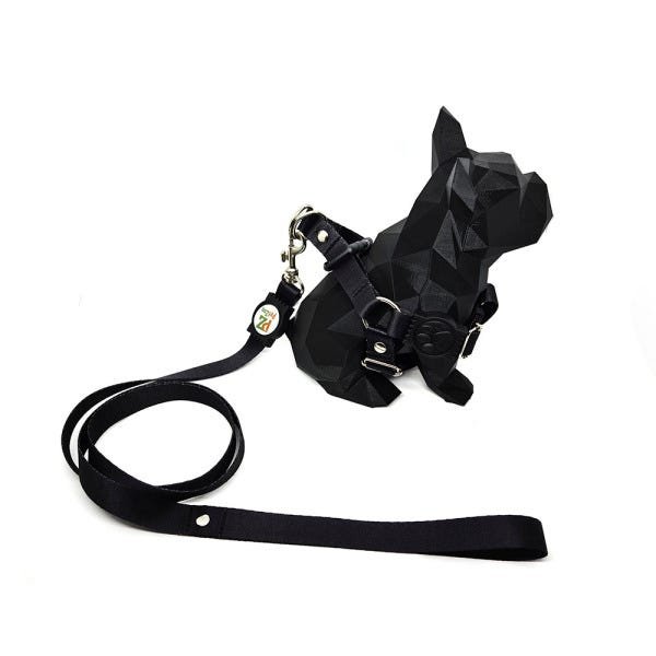 Conjunto coleira, peitoral, guia e cinto para cachorro - Tamanho Médio - Modelo Black - 3