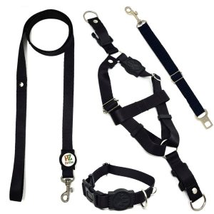 Conjunto coleira,peitoral, guia e cinto para cachorro - Tamanho Grande - Modelo Black
