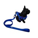 Ver imagem 3 de Conjunto Coleira, Peitoral, Guia e Cinto para Cachorro - Tamanho Médio - Modelo Blue