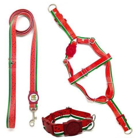Conjunto Coleira, Peitoral, Guia e Cinto para Cachorro - Tamanho Médio - Modelo Melancia