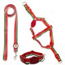 Conjunto coleira,peitoral, guia e cinto para cachorro - Tamanho Grande - Modelo Melancia - 1