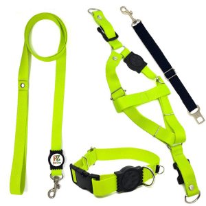 Conjunto coleira, peitoral, guia e cinto para cachorro - Tamanho Médio - Modelo Neon