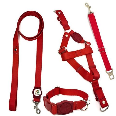 Conjunto Coleira, Peitoral Guia e Cinto para Cachorro - Tamanho Pequeno - Modelo Red