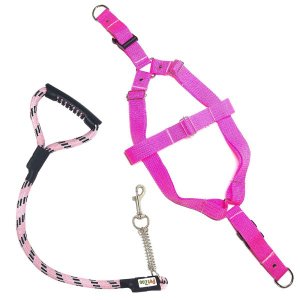 Conjunto peitoral e guia para cachorro - Tamanho Médio - Modelo Rosa
