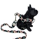 Ver imagem 3 de Conjunto Coleira, Peitoral e Guia para Cachorro - Tamanho Pequeno - Modelo Abstrata