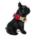 Ver imagem 2 de Conjunto Coleira, Peitoral e Guia para Cachorro - Tamanho Pequeno - Modelo Afrika