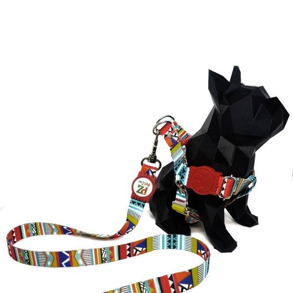 Conjunto coleira, peitoral e guia para cachorro - Tamanho Médio - Modelo Afrika - 3