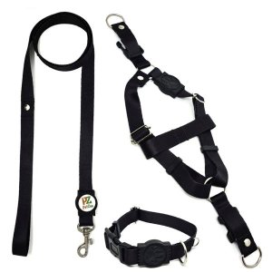 Conjunto coleira, peitoral e guia para cachorro - Tamanho Pequeno - Modelo Black