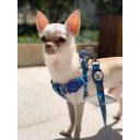 Ver imagem 5 de Conjunto Coleira, Peitoral e Guia para Cachorro - Tamanho Pequeno - Modelo Camuflado