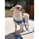 Ver imagem 6 de Conjunto Coleira, Peitoral e Guia para Cachorro - Tamanho Pequeno - Modelo Camuflado