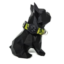 Conjunto coleira,peitoral e guia para cachorro - Tamanho Grande - Modelo Exercito - 2