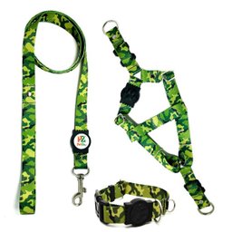 Conjunto coleira,peitoral e guia para cachorro - Tamanho Grande - Modelo Exercito - 1