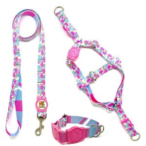 Conjunto coleira, peitoral e guia para cachorro - Tamanho Médio - Modelo Flamingo