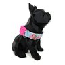 Conjunto coleira, peitoral e guia para cachorro - Tamanho Médio - Modelo Flamingo - 2