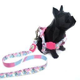 Conjunto coleira, peitoral e guia para cachorro - Tamanho Médio - Modelo Flamingo - 3