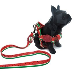 Conjunto coleira, peitoral e guia para cachorro - Tamanho Médio - Modelo Melancia - 3