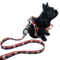 Conjunto coleira, peitoral e guia para cachorro - Tamanho Pequeno - Modelo Minnie - 3