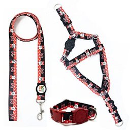 Conjunto coleira, peitoral e guia para cachorro - Tamanho Pequeno - Modelo Minnie - 1