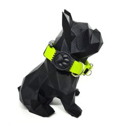 Conjunto coleira, peitoral e guia para cachorro - Tamanho Pequeno - Modelo Neon - 2