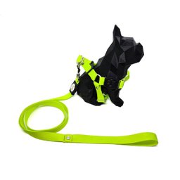 Conjunto coleira, peitoral e guia para cachorro - Tamanho Pequeno - Modelo Neon - 3