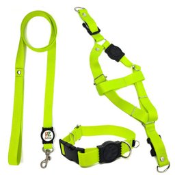 Conjunto coleira, peitoral e guia para cachorro - Tamanho Pequeno - Modelo Neon - 1