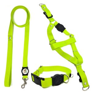 Conjunto coleira, peitoral e guia para cachorro - Tamanho Pequeno - Modelo Neon