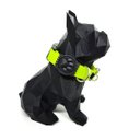 Ver imagem 2 de Conjunto Coleira, Peitoral e Guia para Cachorro - Tamanho Pequeno - Modelo Neon