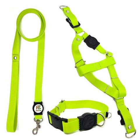 Conjunto Coleira, Peitoral e Guia para Cachorro - Tamanho Pequeno - Modelo Neon