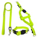 Ver imagem 1 de Conjunto Coleira, Peitoral e Guia para Cachorro - Tamanho Pequeno - Modelo Neon