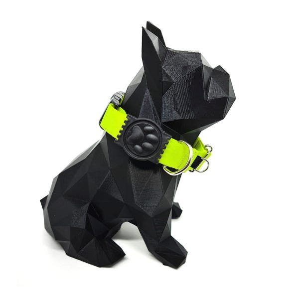 Conjunto coleira, peitoral e guia para cachorro - Tamanho Médio - Modelo Neon - 2