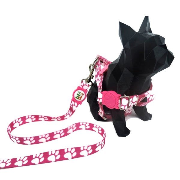 Conjunto coleira, peitoral e guia para cachorro - Tamanho Pequeno - Modelo Pata Rosa - 3