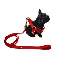 Conjunto coleira, peitoral e guia para cachorro - Tamanho Pequeno - Modelo Red - 2