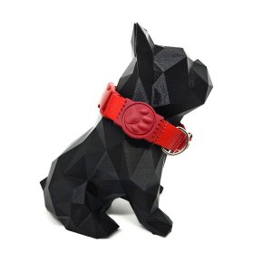 Conjunto coleira, peitoral e guia para cachorro - Tamanho Pequeno - Modelo Red