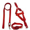 Ver imagem 5 de Conjunto Coleira,peitoral e Guia para Cachorro - Tamanho Grande - Modelo Red