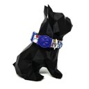 Ver imagem 2 de Conjunto Coleira, Peitoral e Guia para Cachorro - Tamanho Médio - Modelo Thunder