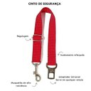 Ver imagem 3 de Conjunto Peitoral, Guia e Cinto para Cachorro - Tamanho Grande - Modelo Flores