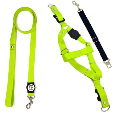 Conjunto Peitoral, Guia e Cinto para Cachorro - Tamanho Pequeno - Modelo Neon