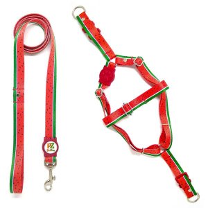 Conjunto Peitoral e Guia para Cachorro - Tamanho Pequeno - Modelo Melancia
