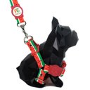 Ver imagem 2 de Conjunto Peitoral e Guia para Cachorro - Tamanho Médio - Modelo Melancia