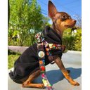 Ver imagem 6 de Conjunto Peitoral e Guia para Cachorro - Tamanho Pequeno - Modelo Mexicano