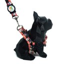 Ver imagem 2 de Conjunto Peitoral e Guia para Cachorro - Tamanho Grande - Modelo Minnie